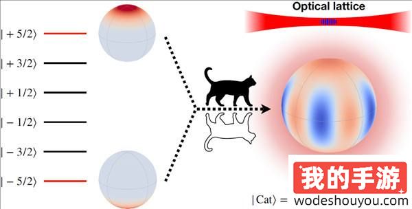 爱护猫猫！中国科学家让“薛定谔的猫”活了20多分钟！