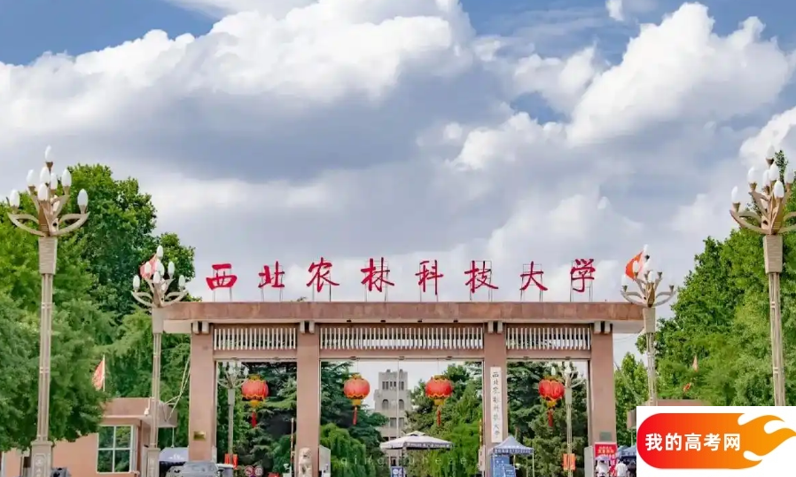 2025陕西高考本科提前批都有哪些学校和专业