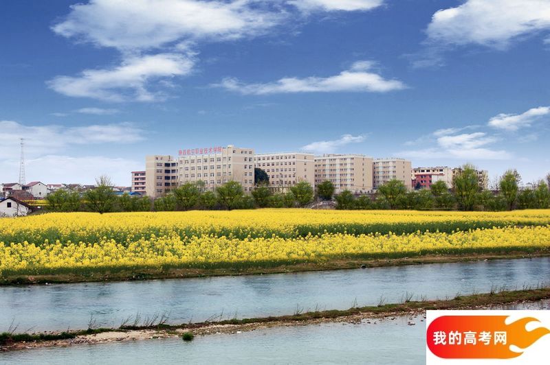 鞍山师范学院2024年在安徽录取分数线、对应位次（附近几年最