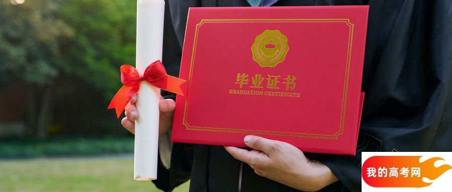 广东省专科大学一览表！附2024年录取分数线、最新排名(图1)