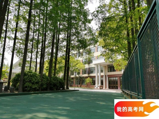 西华大学2024年在安徽录取分数线、对应位次（附近几年最低录