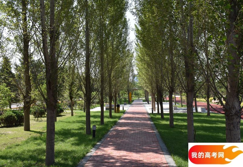 赣南医科大学2024年在重庆各专业录取分数线（附院校录取分数