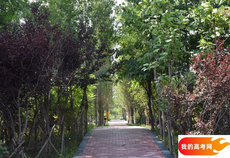 山东高考成绩多少分能报考江西财经大学？附2022-2024年