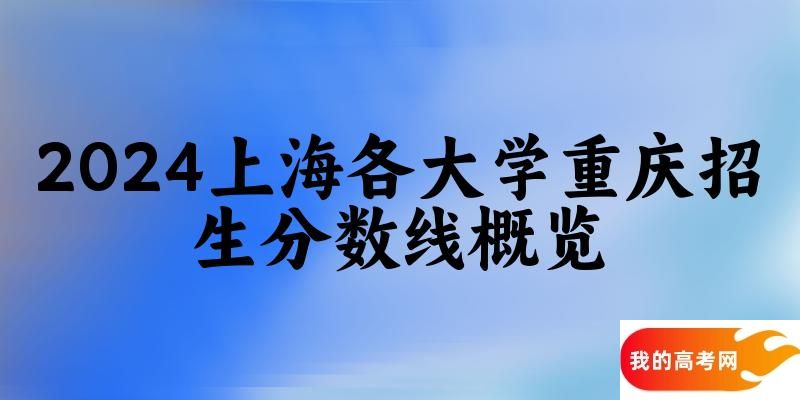 2024上海各大学重庆招生分数线概览：含本科批、本科提前批B