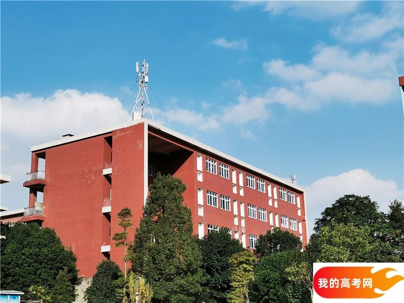 西南民族大学2024年在四川录取分数线、对应位次（附近几年最