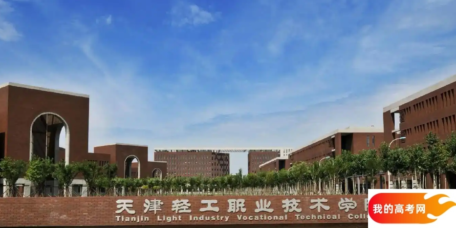 2025天津市排名前十的专科大学！含值得上的专科大学分数线(图3)