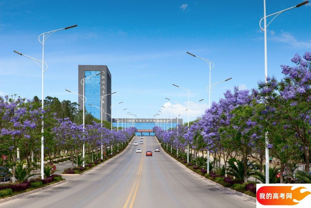 苏州大学2024年在辽宁各专业录取分数线(附院校录取分数线录取位次)