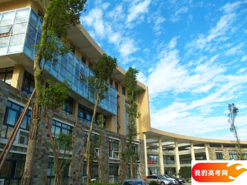 河北高考成绩多少分能报考延安大学？附2022-2024年各专