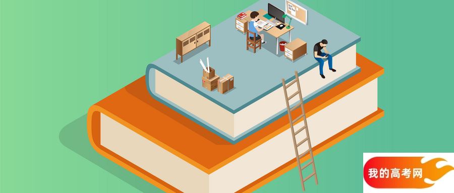 新疆所有大学排名及录取分数线一览表(含位次,2025参考)