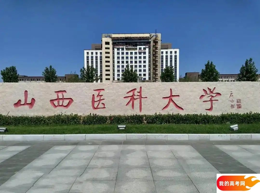 山西医药类大学排名及分数线一览表（2025参考）