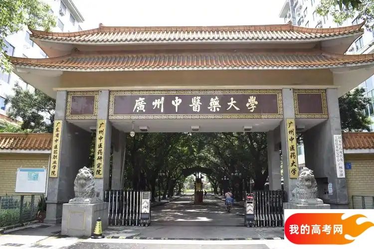 广东医药类大学排名及分数线一览表（2025参考）