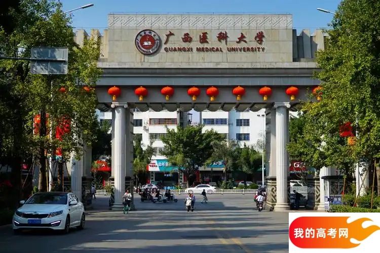 广西医药类大学排名及分数线一览表（2025参考）