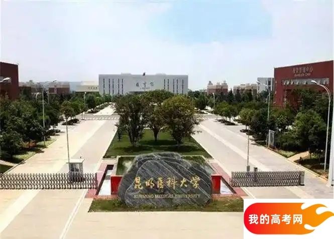 云南医药类大学排名及分数线一览表（2025参考）