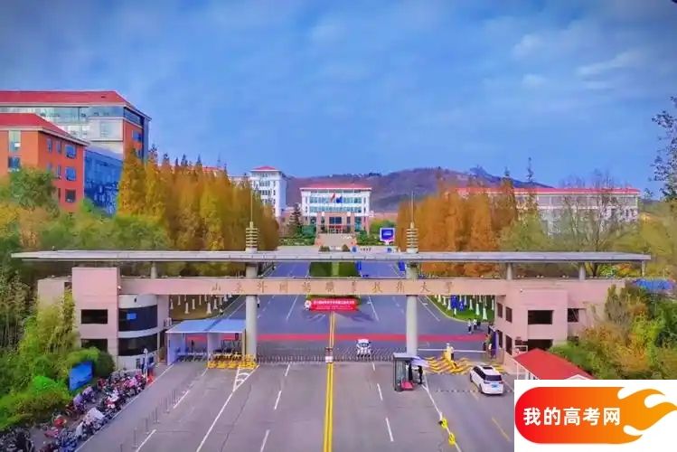 专科线最低的语言类大学:低分可上的语言类院校推荐(2025参考)(图2) 专科线最低的语言类大学:低分可上的语言类院校推荐(2025参考)(图2)