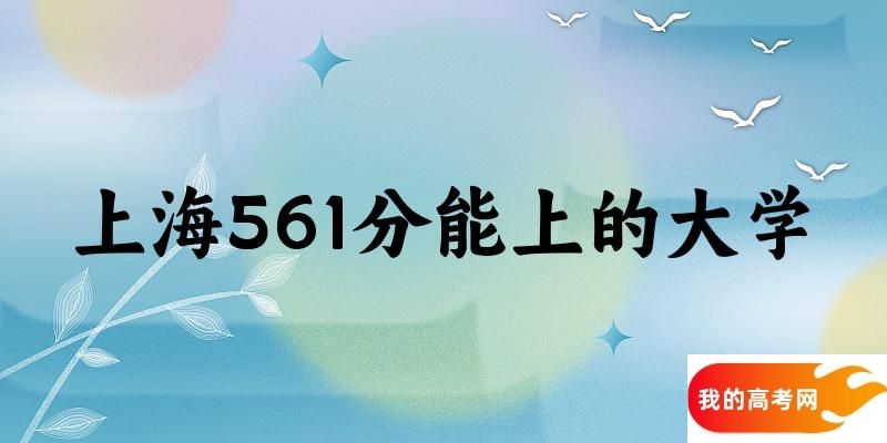 上海高考561分能上的大学有哪些？有哪些专业可选 (2025
