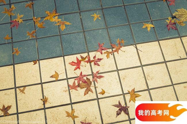 中国人民大学2024年在四川录取分数线、对应位次（附近几年最低录取分数线及位次排名）