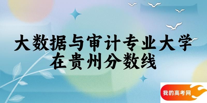 2024大数据与审计专业贵州录取分数线多少分 附专业就业方向