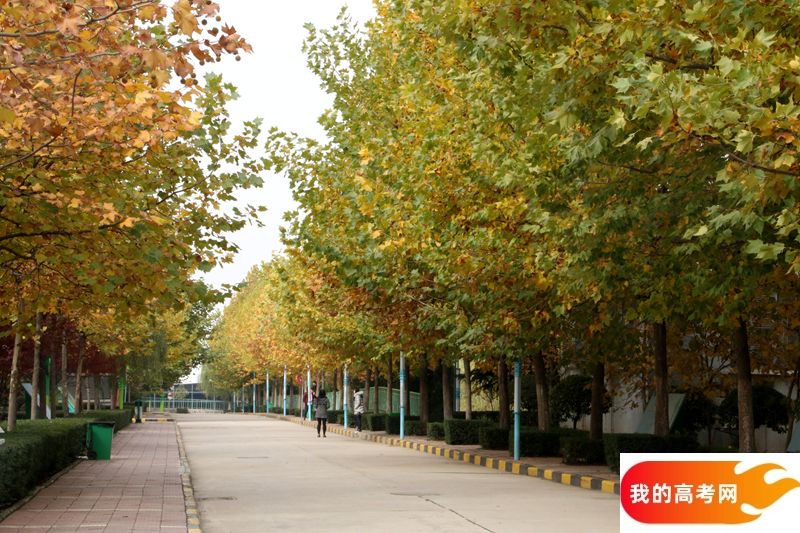 东北大学秦皇岛分校2024年在贵州录取分数线、对应位次（附近几年最低录取分数线及位次排名）
