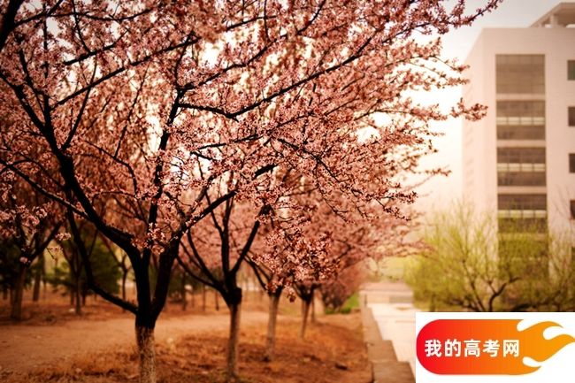 2024年郑州大学在安徽录取分数线（附近几年最低位次排名）