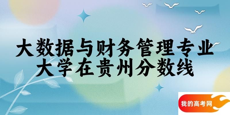 2024大数据与财务管理专业贵州录取分数线多少分 附专业就业方向 (2025参考)