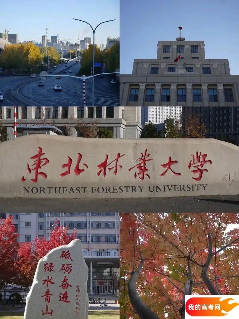 浙江省582分能上985大学吗？（2025参考）(图3)