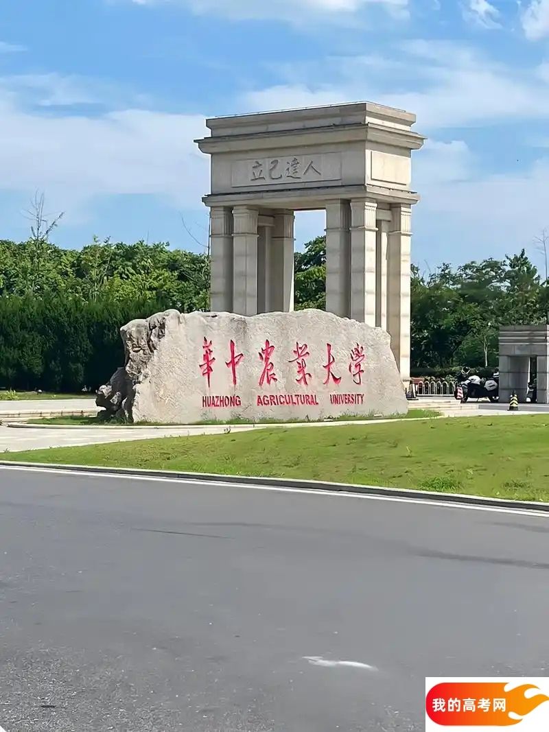 浙江省572分能上211大学吗？可以上5所（2025参考）(图2)