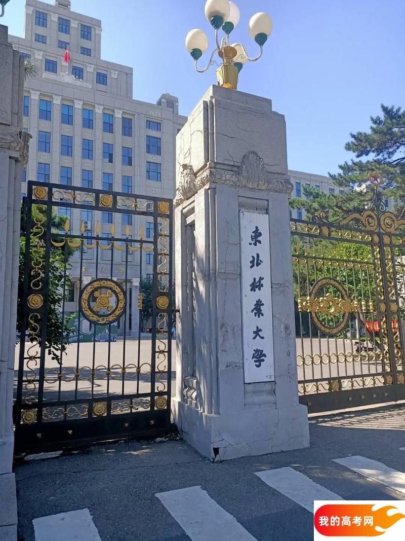 2025黑龙江省一本大学名单：含哈尔滨工业大学、哈尔滨工程大学(图3)