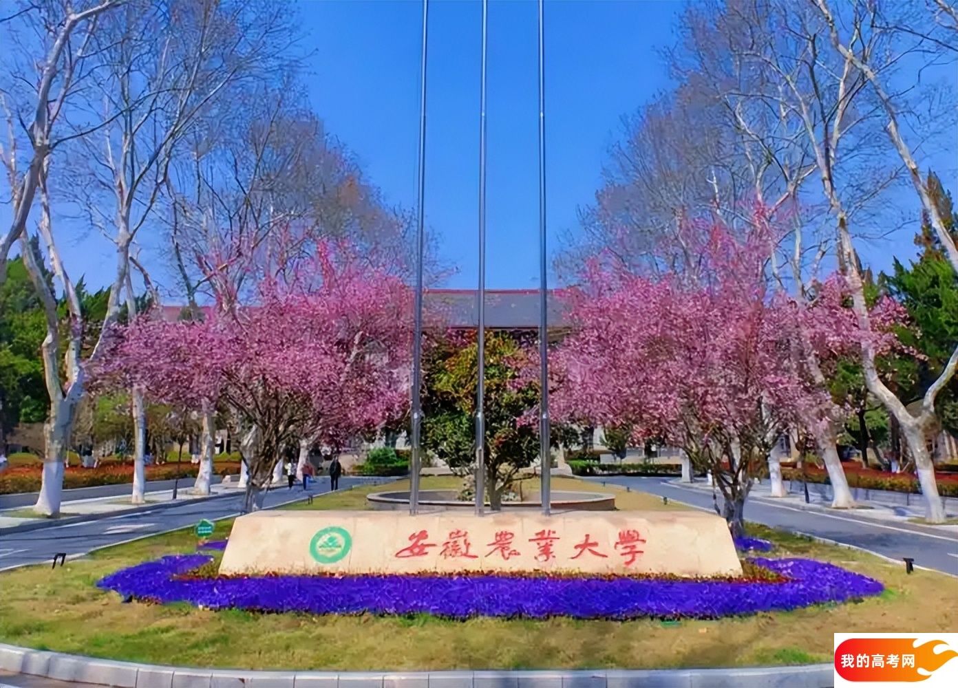 2025合肥市公办本科大学名单（最新完整版名单，2025年参考）(图3)