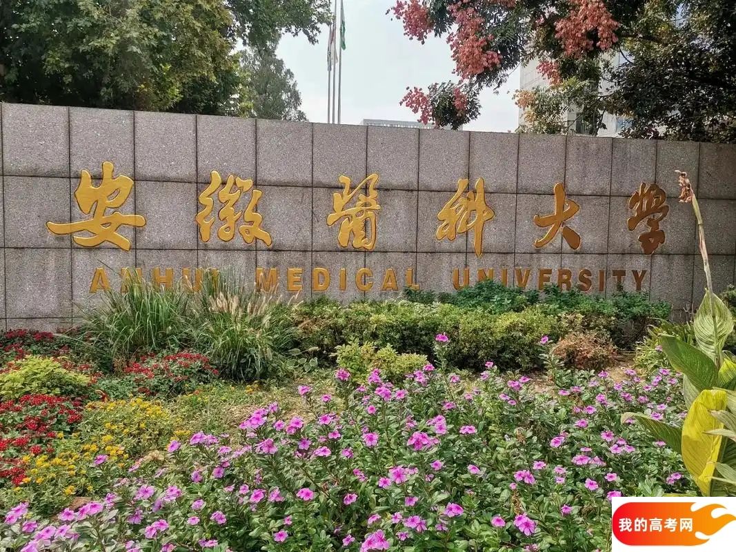 2025合肥市公办本科大学名单（最新完整版名单，2025年参考）(图5)