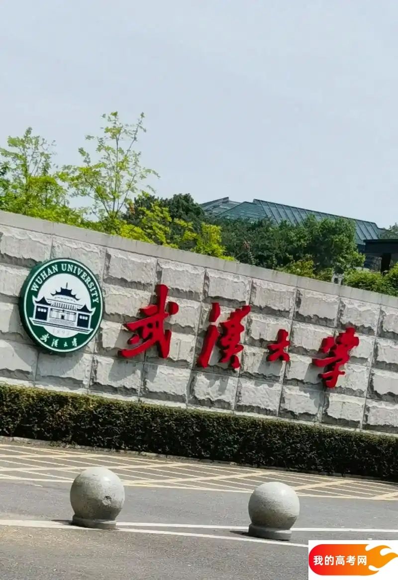 武汉大学2024录取分数线：最低多少分能上（各省汇总）(图3)