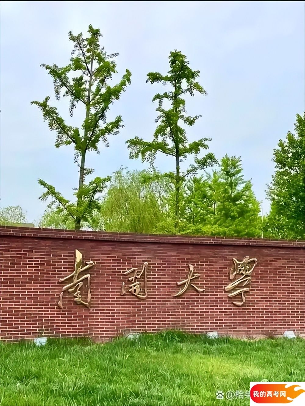 南开大学2024录取分数线：最低多少分能上（各省汇总）(图3)