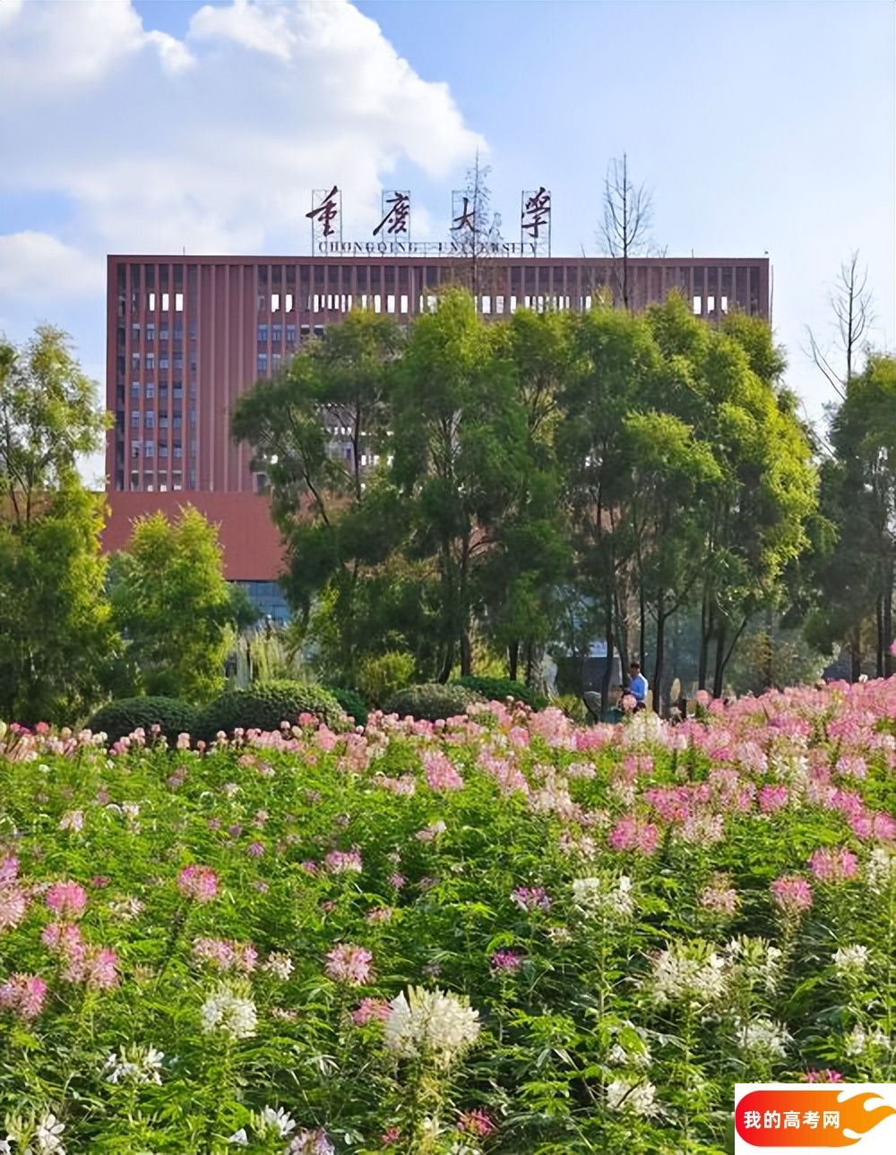 重庆大学2024录取分数线：最低多少分能上（各省汇总）(图3)