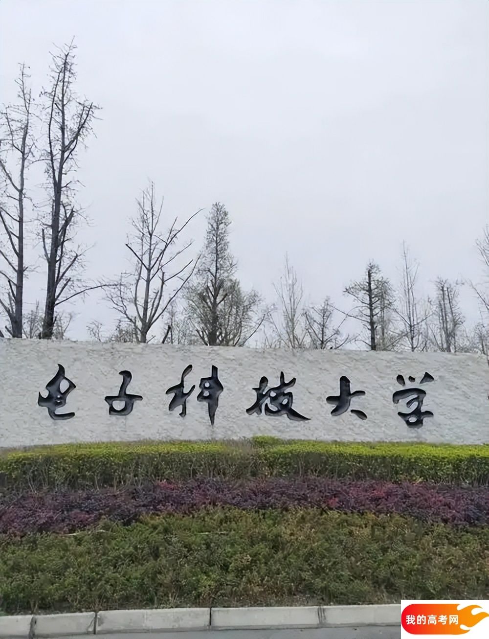 2024 电子科技大学分数线大盘点，一文了解各省招录详情