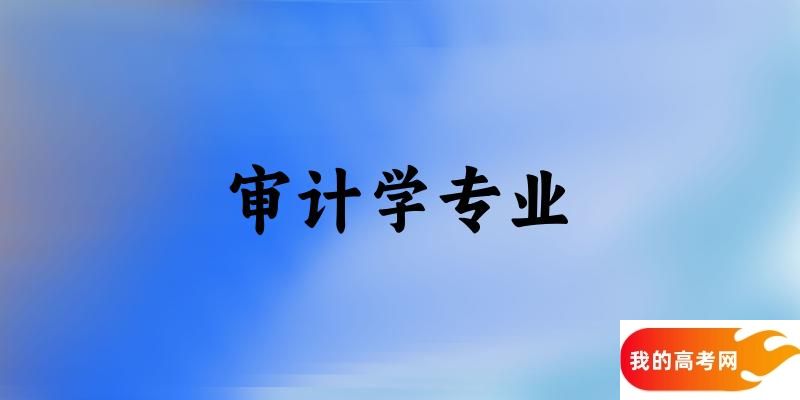 审计学专业新疆录取分数线多少分 附专业就业方向 (2025参考)