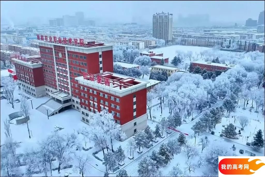 新疆低分二本大学名单-2025新疆压线二本公办学校（10所）