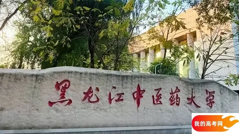 黑龙江低分一本大学名单-2025黑龙江压线一本公办学校（10所）(图2)