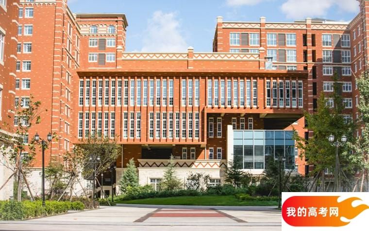 山东分数最低的专科大学：2025多少分可以上？(图3)