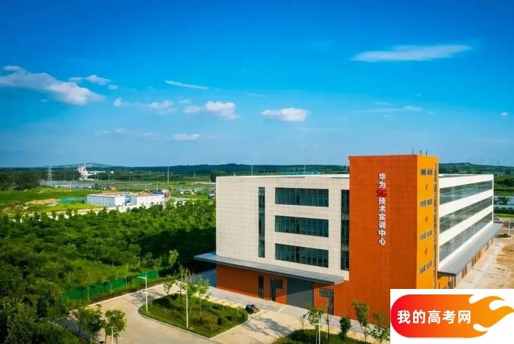 山东分数最低的专科大学：2025多少分可以上？(图4)