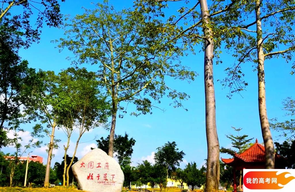 广西分数最低的专科大学：2025多少分可以上？(图2)