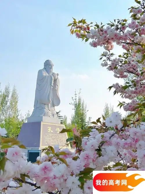 山东分数线最低的财经类大学：需要152分录取（2025年参考）