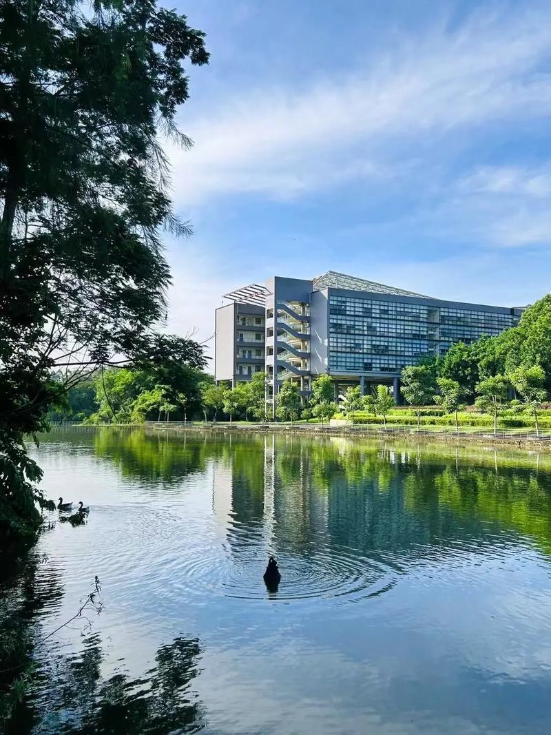 广东公办二本大学有哪些？附排名及分数线（2025参考）