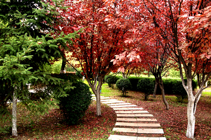 天津大学2024年各省录取分数线全解析