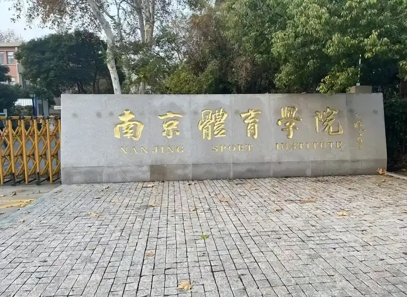 南京 10 所低分公办本科院校，录取分数参考（历史 / 物理组）