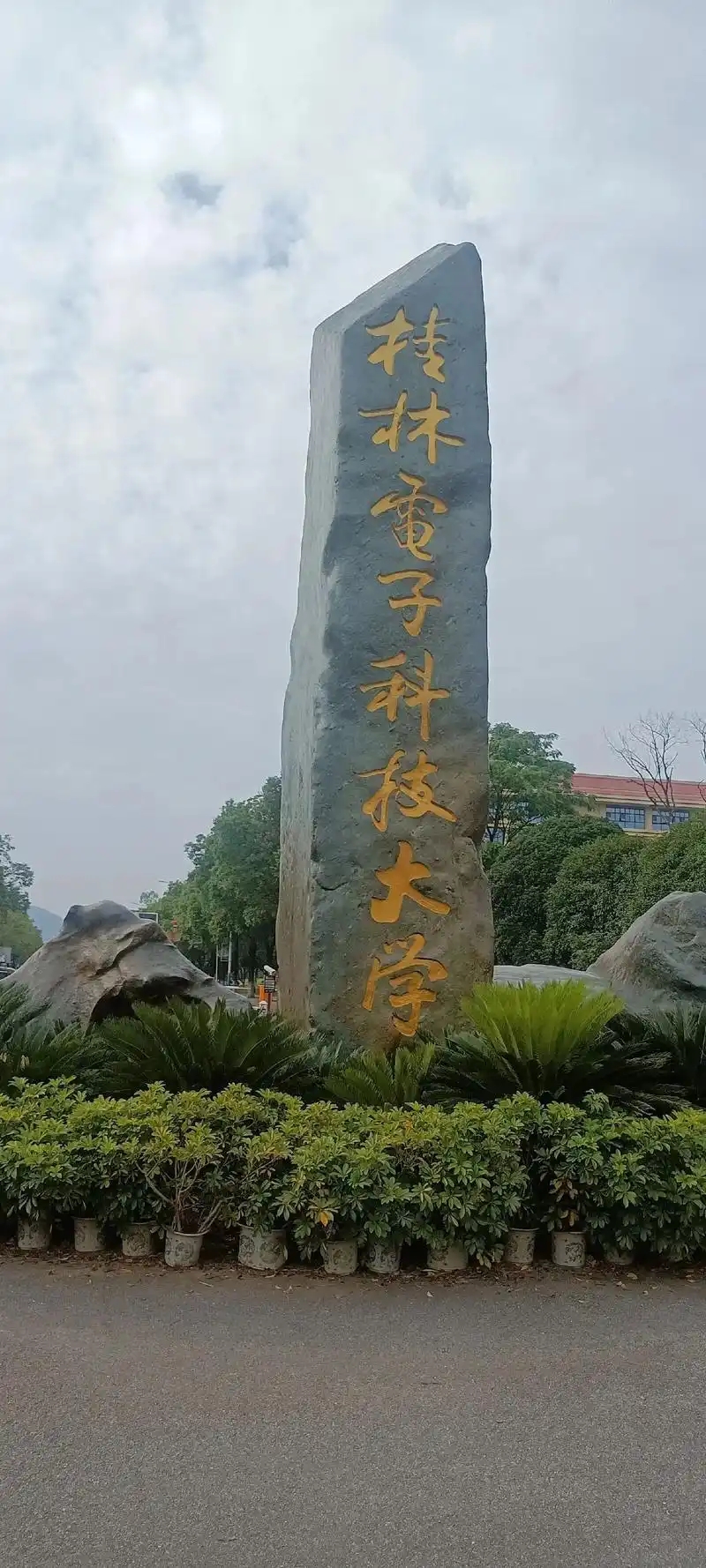 2025广西理科院校排名及分数线汇总