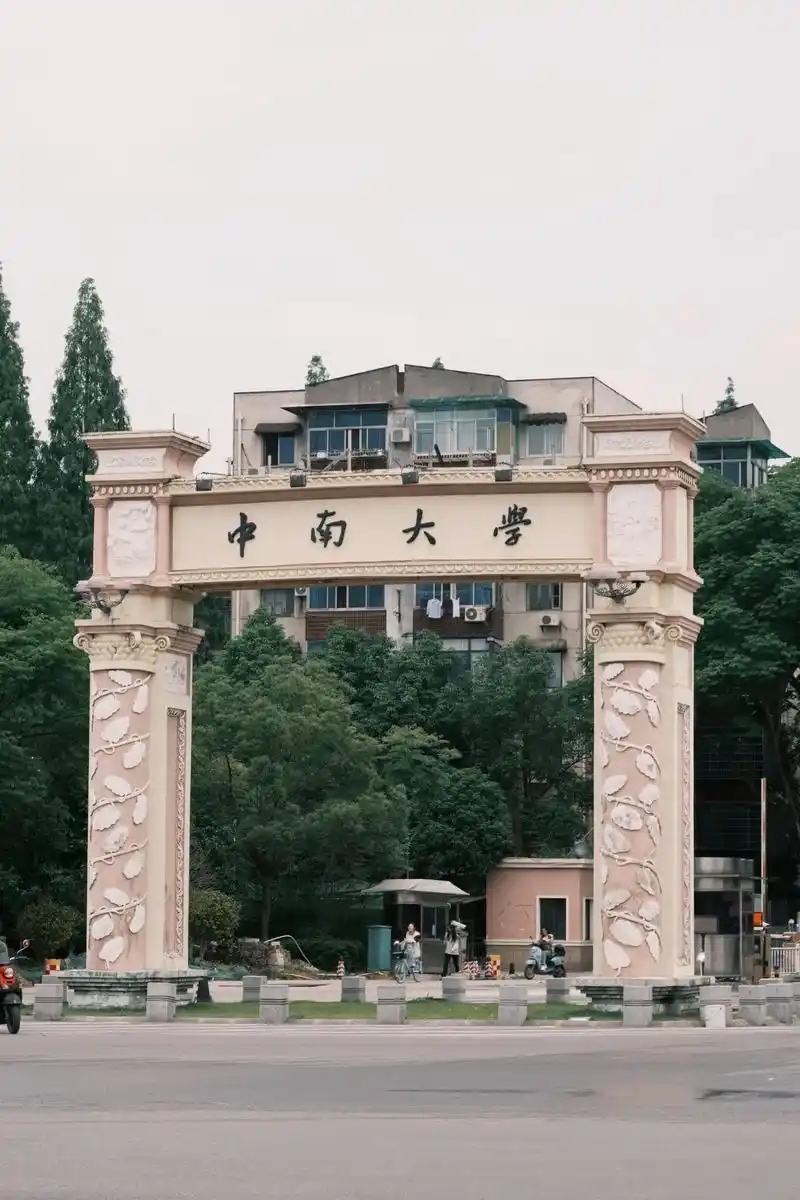 2025湖南 985 院校分数线大揭秘：最低 585 分，附三校实力排名(图2)