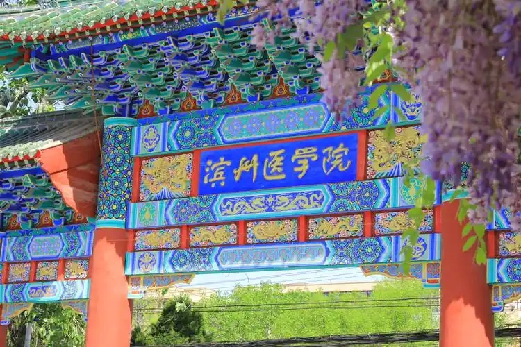 山东最好的公办二本大学排名（实力最强）