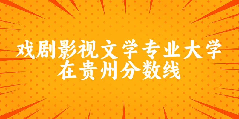 2024戏剧影视文学专业贵州录取分数线多少分 附专业就业方向