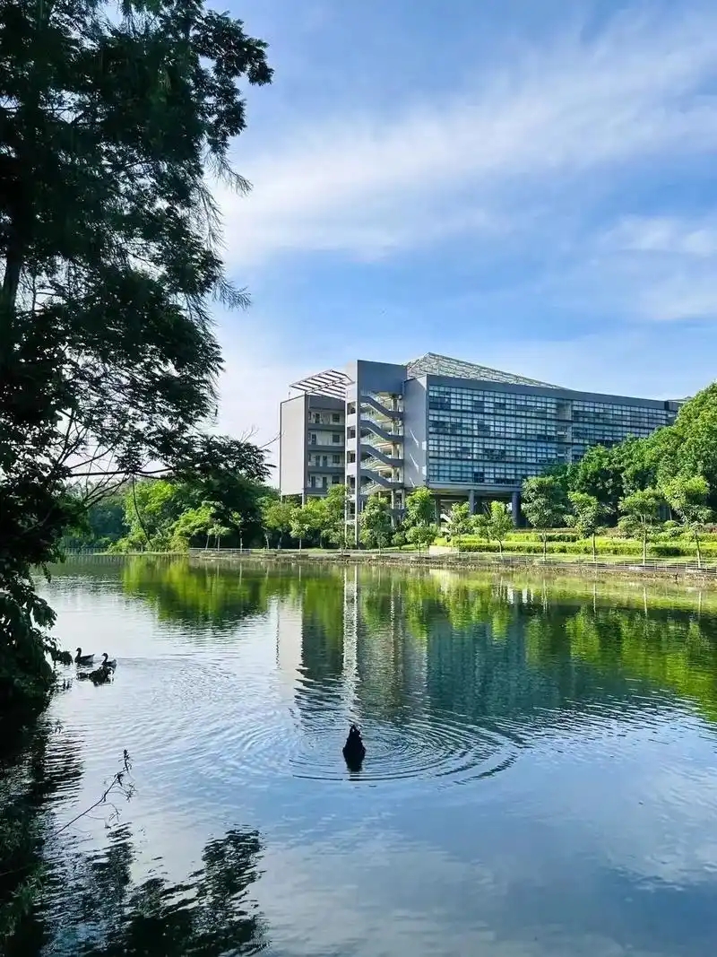 东莞最好的一本大学排名（实力最强）