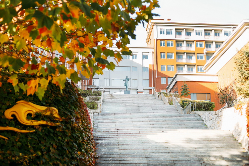 2024年中国戏曲学院在山东录取分数线(附近几年最低位次排名)