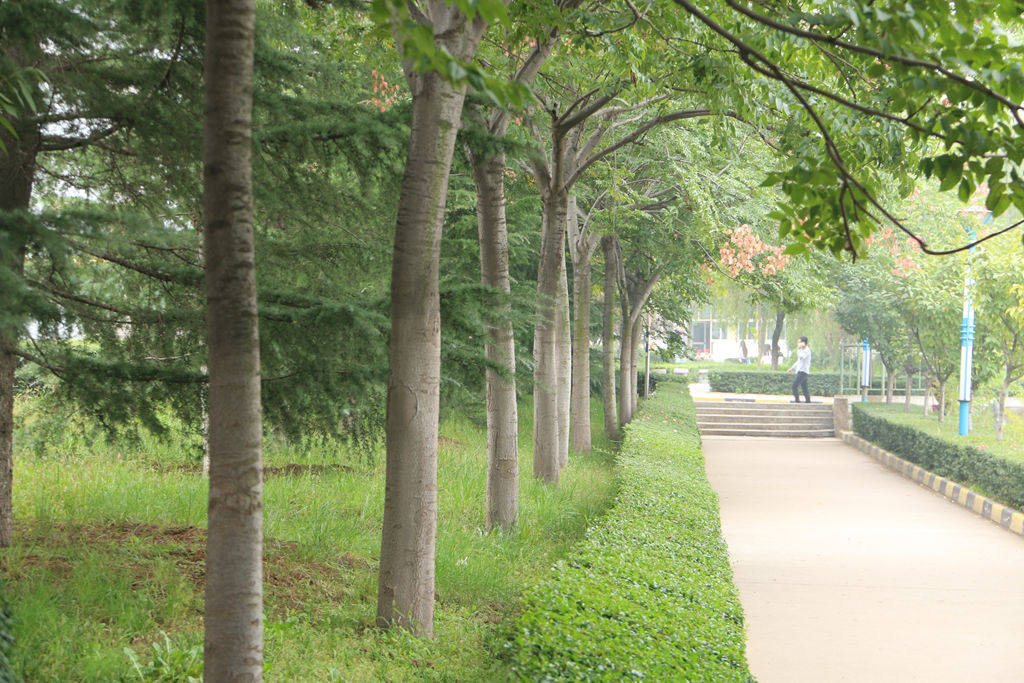 2024年江西师范大学在江西录取分数线(附近几年最低位次排名)